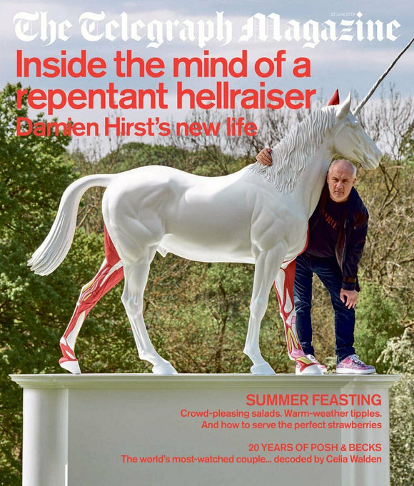 TELEGRAPH Magazine June 2019: DAMIEN HIRST PHOTO COVER INTERVIEW