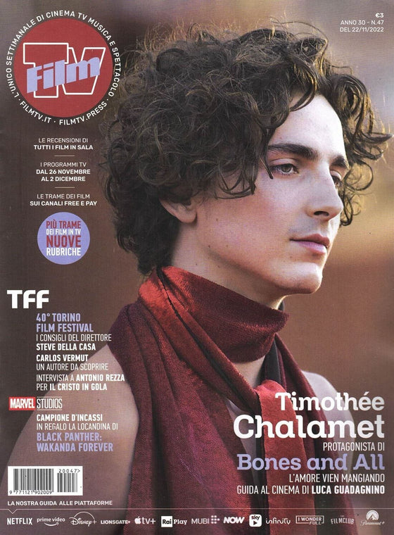 Timothée Chalamet, VMAN, 2018, Cover